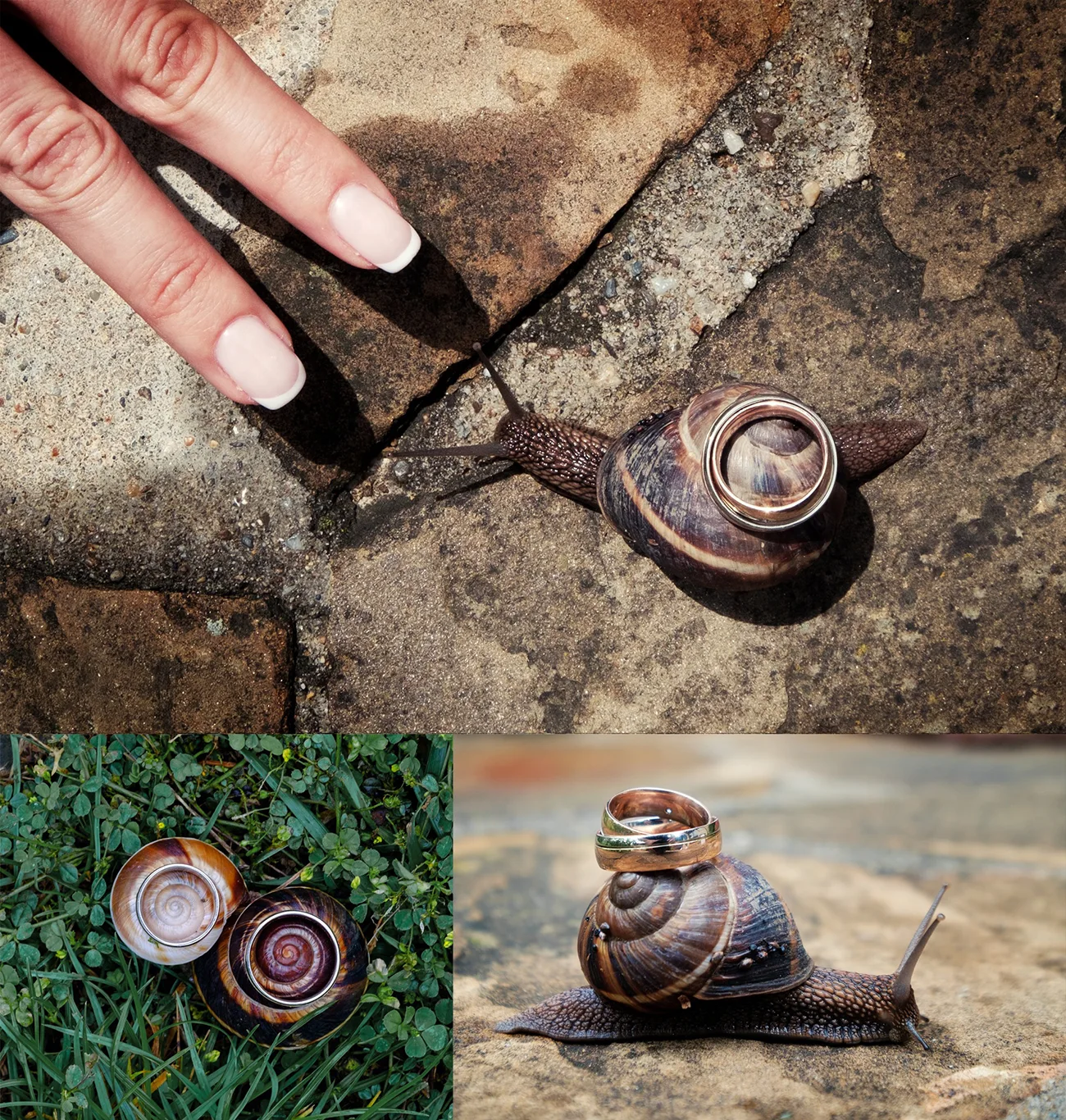 Сватбени халки Сватбени халки