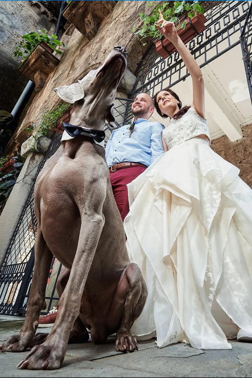 Камелия и Николай - сватбя в Търново